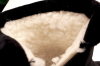 Sport + CLM TA01-119(1843-1)Z Полусапожки чер нейлон+иск кожа, подклад иск мех - Совместные покупки